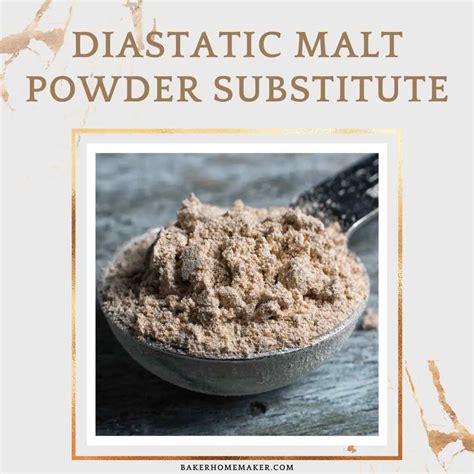 substitute for diastatic malt powder.